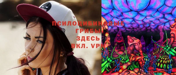 крисы Инсар