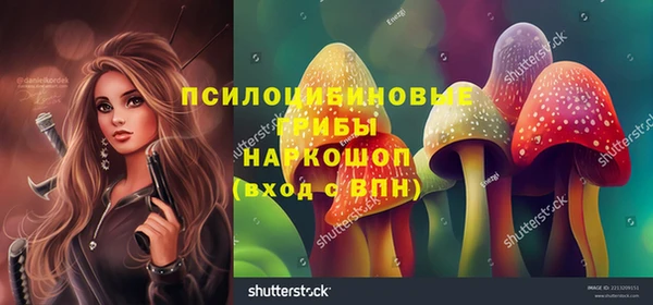крисы Инсар